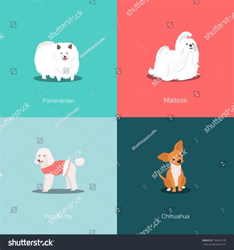 Set Dogs Different Breeds Vector Illustration Stock Vector Royalty