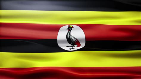 Uganda Flag Stock Video Footage For Free Download