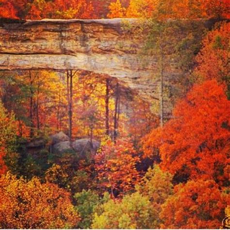 Top 105 Pictures Pictures Of Red River Gorge Stunning 102023