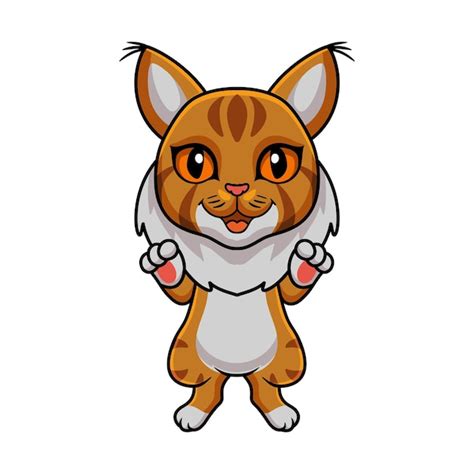 premium vector cute maine coon cat cartoon
