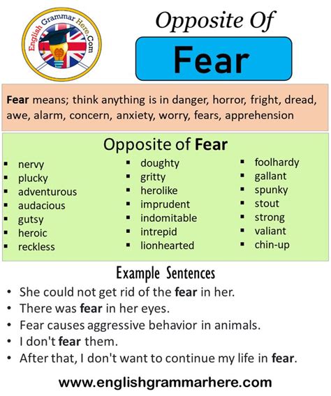 Some Phrases Used To Describe Fear