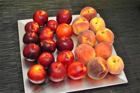 Difference Between Nectarines And Peaches