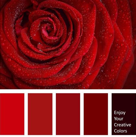 Color Palette 0071 Million Shade Red Color Schemes Color Palette
