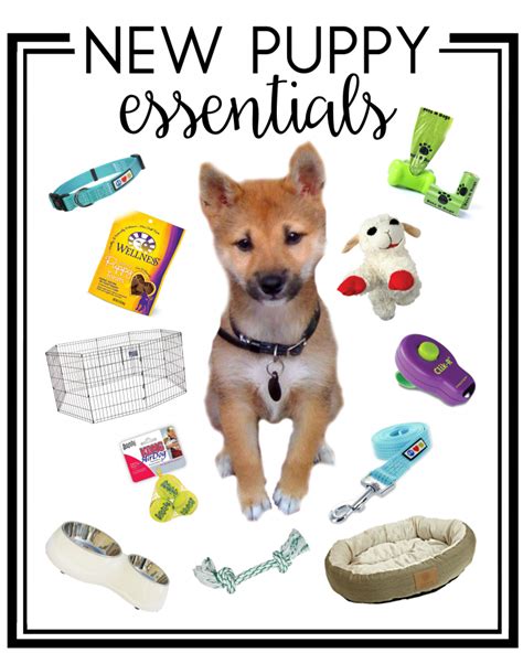 New Puppy Essentials Dwell Beautiful