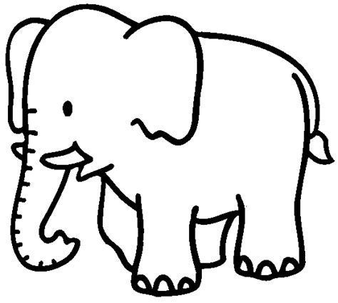 Baby Elephant Coloring Pages Animal