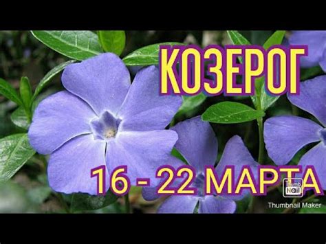 47 kb vanifestadeg2.jpg 320 × 603; КОЗЕРОГ. ТАРО ПРОГНОЗ НА НЕДЕЛЮ С 16 ПО 22 МАРТА. - YouTube
