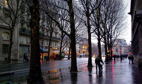 Paris Rainy Night Photograph By Rene Sheret Pixels