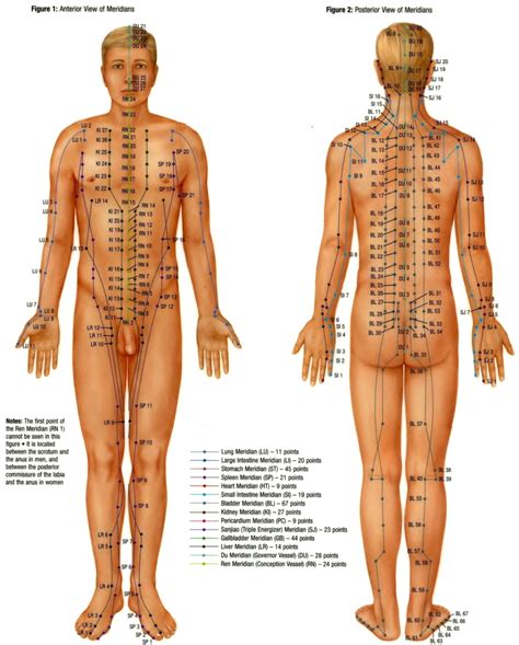 Acupuncture Points Acupuncture Points Chart Acupressure Treatment