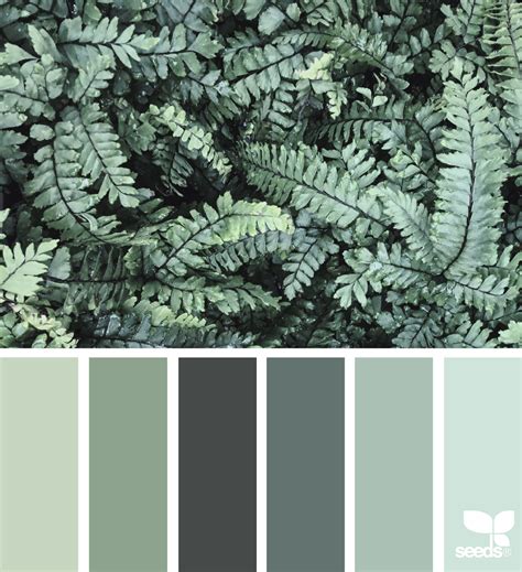 21 Sage Green Color Combinations 2023