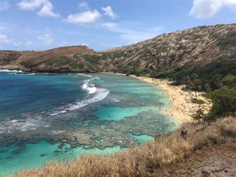 15 Essential Things To Know Before Going To Hanauma Bay