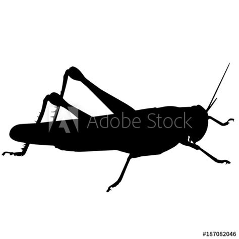 Locust Silhouette Vector Graphics Buy This Stock Vector And Explore