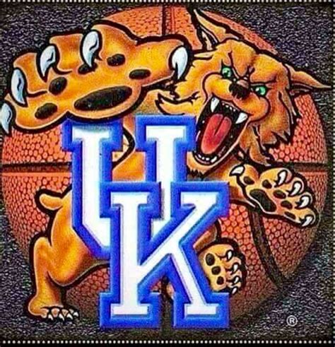 Pin by Vicky Shelton on Kentucky Wildcats | Kentucky wildcats logo, Uk wildcats basketball 
