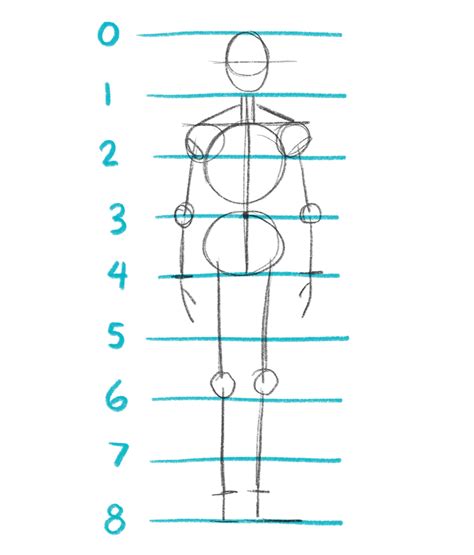 How To Draw Proportional Bodies Cloudanybody1