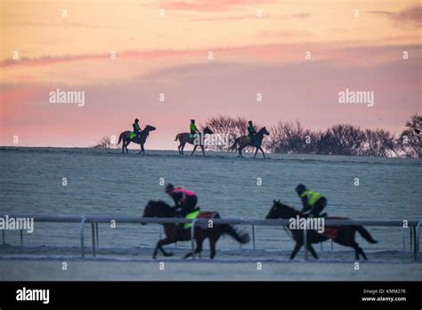 Racehorses Training On Newmarket Heath In Suffolk On Friday Morning