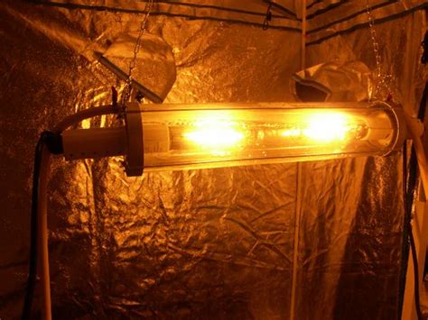 You have to be vigilant with hps lights: water cooled grow lights two 400 hps bestcoastgrowers.com ...