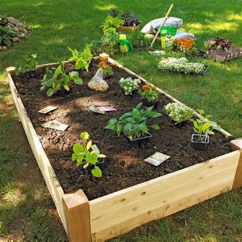 Grow A Vegetable Garden In Raised Beds Better Homes