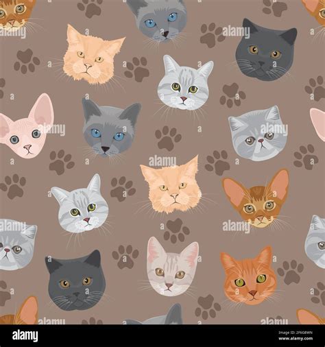 Cat Head Seamless Pattern Stock Vector Image And Art Alamy