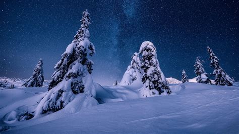 Nature Night Norway Snow Starry Sky Stars Winter HD Winter Wallpapers HD Wallpapers ID