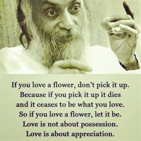 Love Is Appreciation Not Possession Quotes To Live By Inspirational
