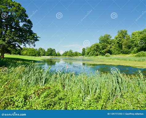 Grass Trees And Water Stock Image Image Of Grass Clouds 139777293
