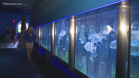 Virginia Aquarium Reopening After Coronavirus Closure