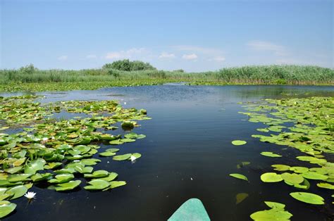 What Is The Best Time To Visit The Danube Delta In Romania Ultimate Guide