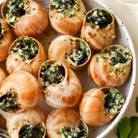 Snails Are A Culinary Delight For Some A Garden Pest For Others Hubpages