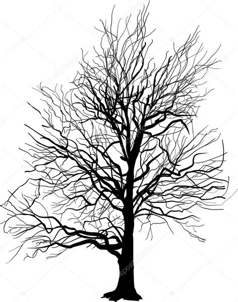 Bare Tree Silhouette Isolated On White Stock Vector Image By ©drpas