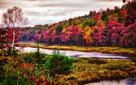 Nature Landscape Trees River Fall Forest Colorful