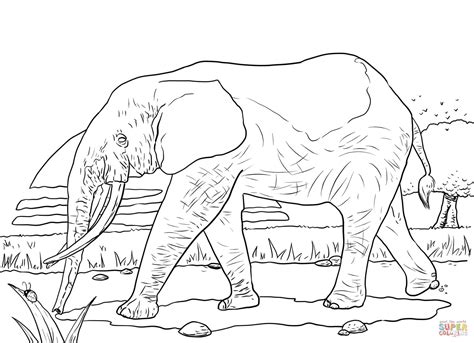 African Forest Elephant Coloring Page Free Printable Coloring Pages