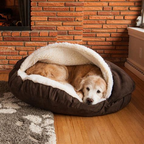 dogs hacks,dogs diy,dogs room,dogs pictures,dogs bed,dogs collar,dogs clothes #dogscollar | Cozy 