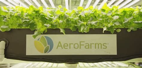 Aerofarms Takes Largest Vertical Farm In The World To Virginia
