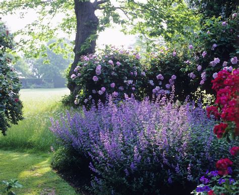 Garden Borders 25 Ideas For The Perfect Planting Scheme Real Homes