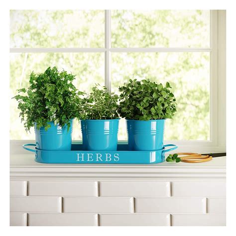 Set Of 3 Herb Pot Planter Set With Tray Indoor Garden Outdoor Etsy