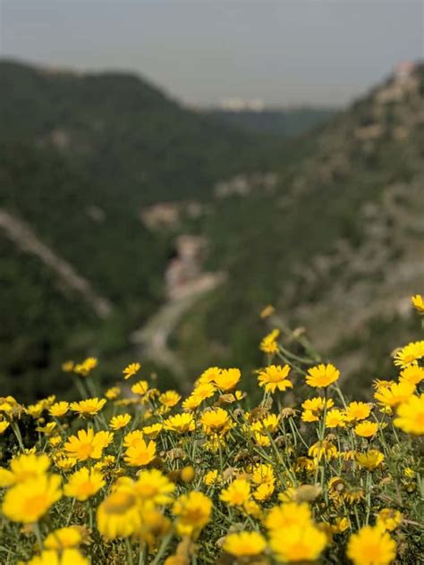 Top 10 Best Villages In Lebanon Photos Of Lebanon
