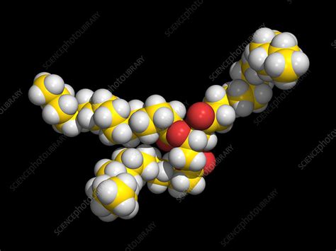 Saturated Fat Molecule Stock Image A7000145 Science Photo Library
