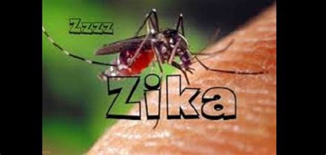 Virus Zika Masuk Indonesia - The Global Review