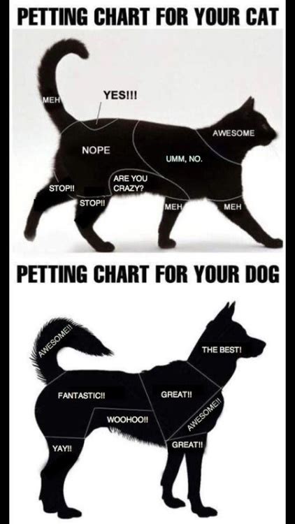Sưu Tầm Petting Charts For Cats And Dogs Non Prototype Language