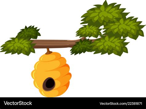 beehive on tree branch royalty free vector image