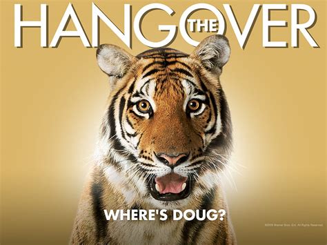 The Hangover Tiger Movie Hd Wallpaper Peakpx