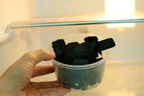 How to do with an old refrigerator according to the rules of. How to Get Rid of Bad Smells in Your Fridge | Fridge ...