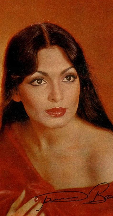 Parveen Babi A Diva Confined Between A Stellar Career And Deep Rooted
