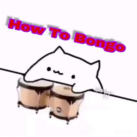 How To Bongo Tips For New Bongo Cats Bongo Cat Amino