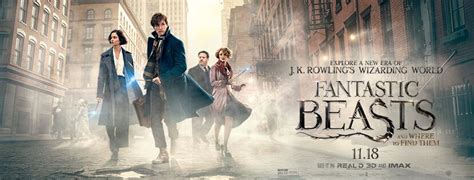 It's a modern classic movie, 2016 year is all yours fantastic beasts and where to find them. The Powerful Life Lesson in Fantastic Beasts And Where To ...