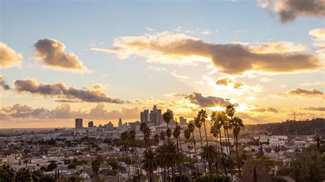 4k Los Angeles Skyline And Palm Trees Day To Night