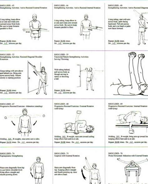 7 Unique Rotator Cuff Strengthening Exercises For Solid Shoulders Artofit