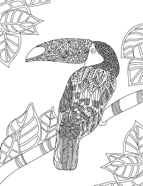 Printable Toucan Coloring Page For Adult Coloringbay The Best