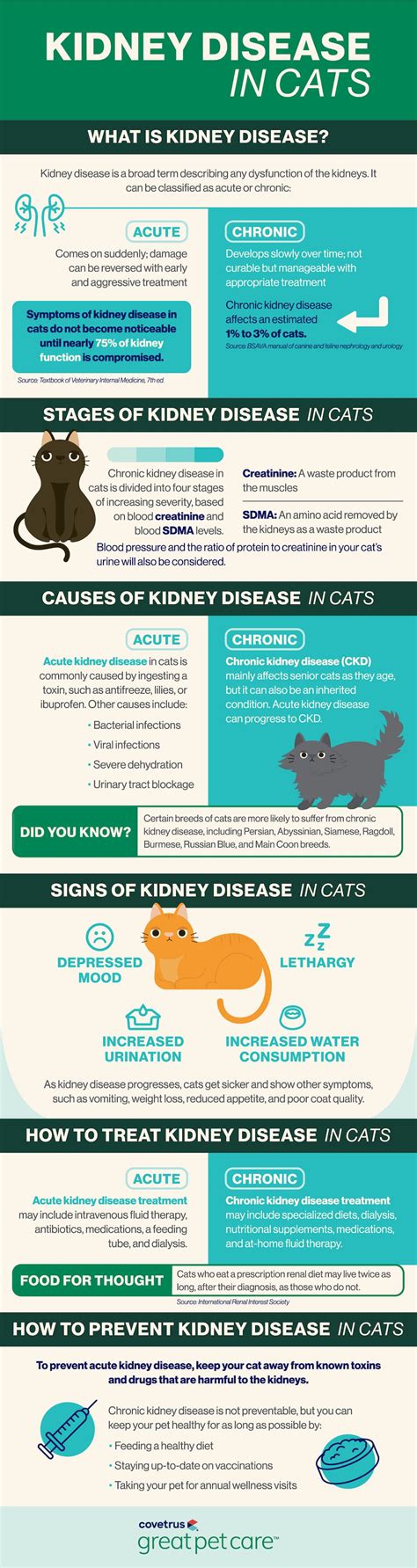 Kidney Health Products For Cats