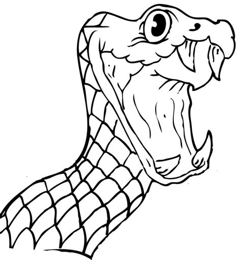 Cobra Snake Head Drawing At Getdrawings Free Download