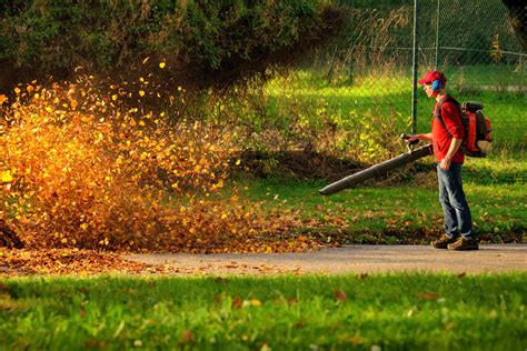 How To Hire Great Lawn Care And Landscaping Employees